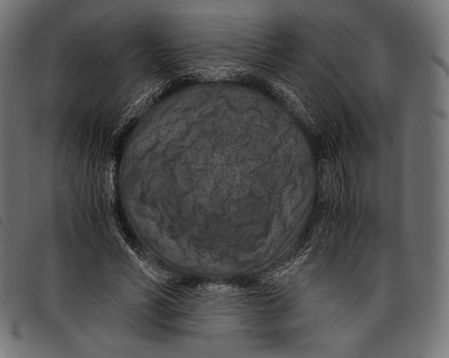 X0000097660590200803280953