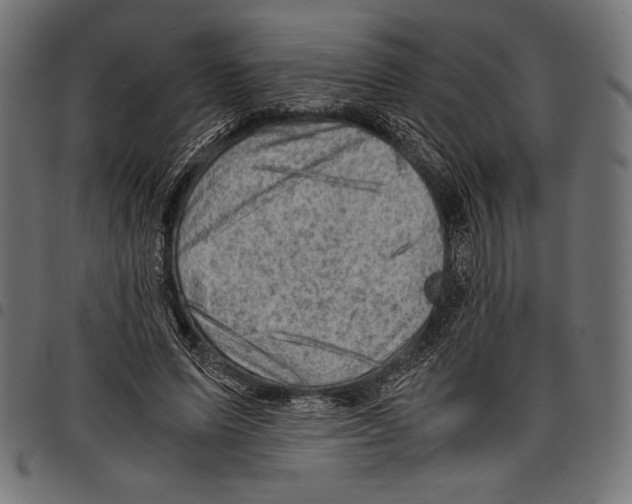 X0000097660591200803280953