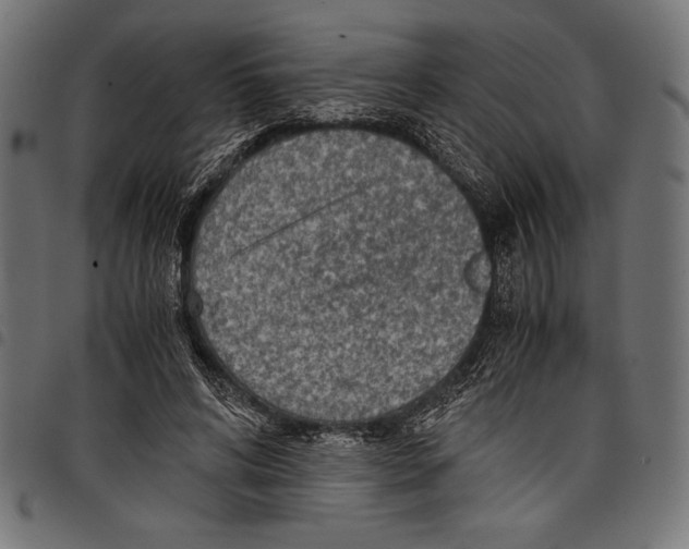X0000097660592200803280953