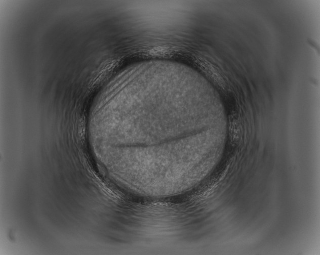 X0000097660593200803280953