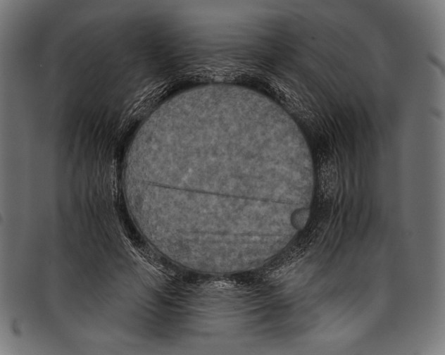 X0000097660594200803280953