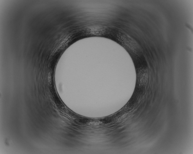X0000097660595200803280952