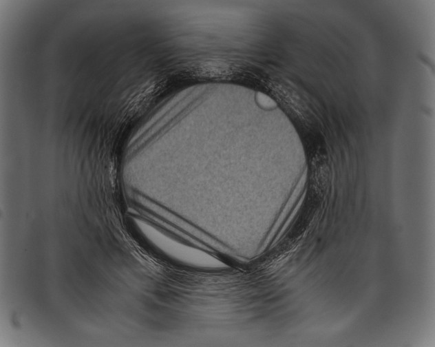 X0000097660597200803280952