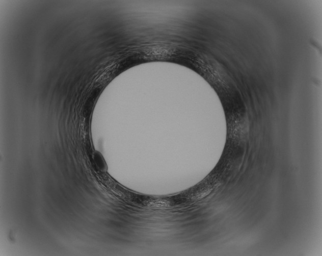 X0000097660599200803280952