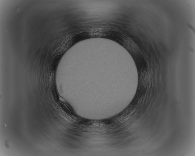 X0000097660601200803280952