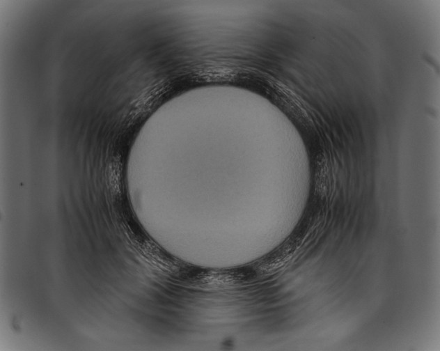 X0000097660604200803280952