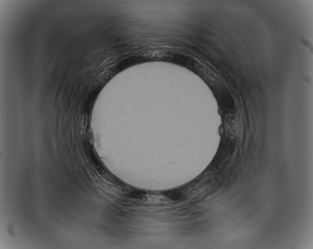 X0000097660605200803280952