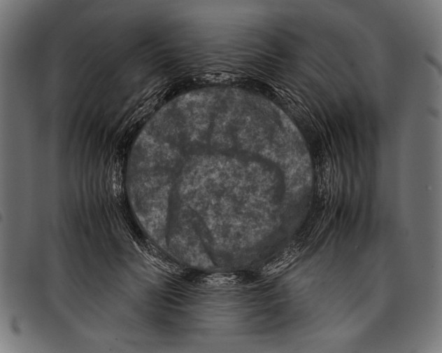 X0000097660606200803280952
