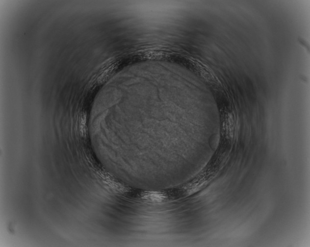 X0000097660610200803280952