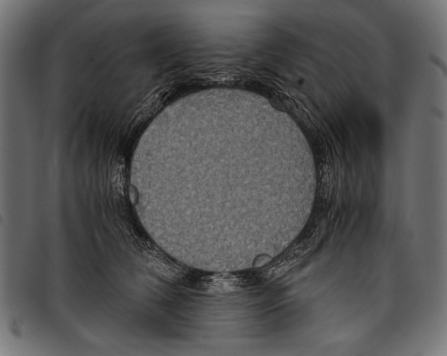 X0000097660612200803280952