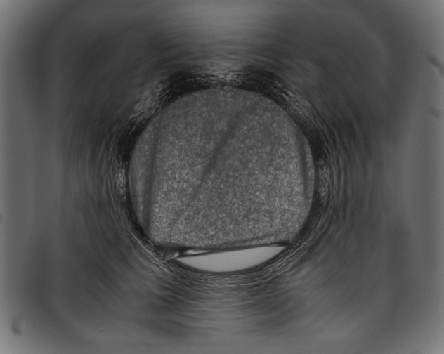 X0000097660613200803280952