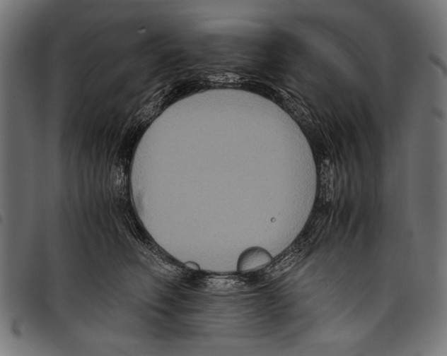 X0000097660614200803280952