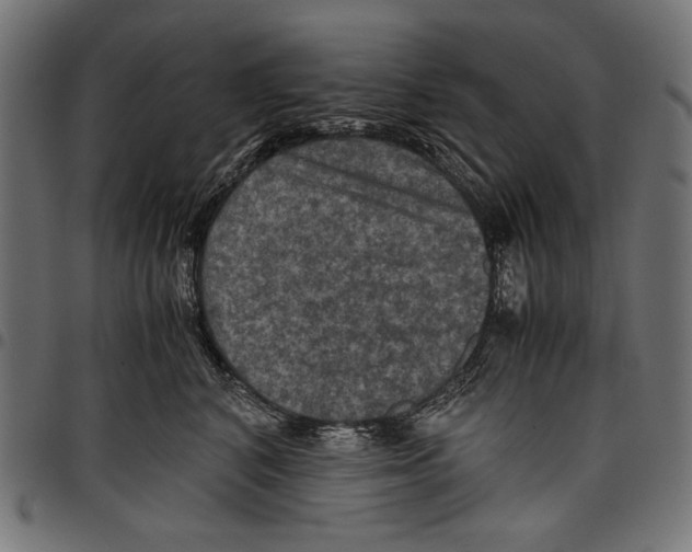 X0000097660616200803280952