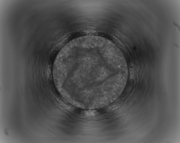 X0000097660618200803280952