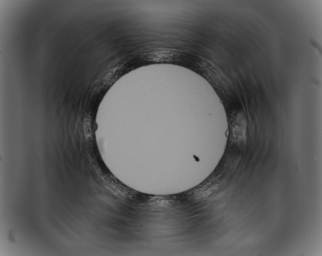 X0000097660620200803280952