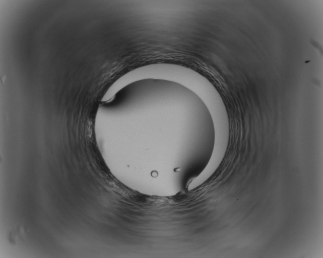 X0000097660621200803280952