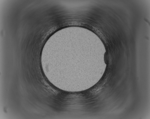 X0000097660625200803280951