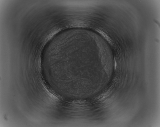 X0000097660627200803280951