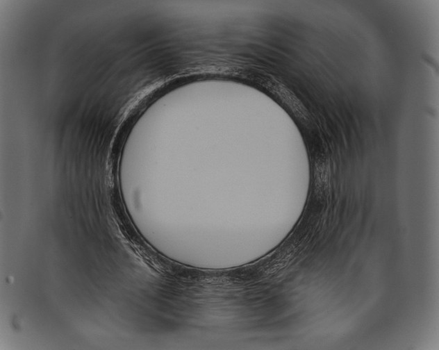 X0000097660628200803280951