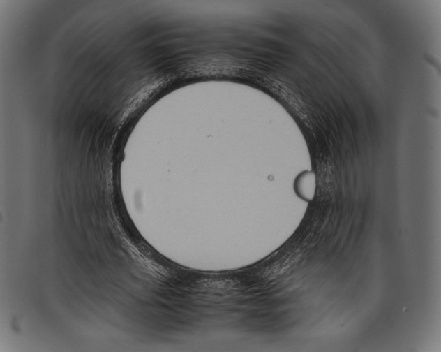 X0000097660629200803280951