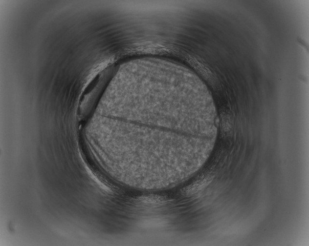 X0000097660630200803280952