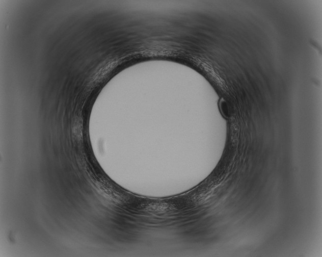 X0000097660631200803280952