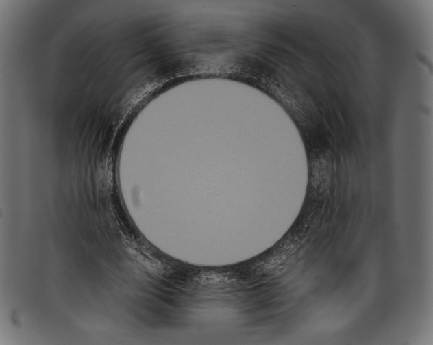 X0000097660632200803280952