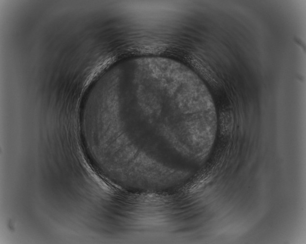 X0000097660634200803280952