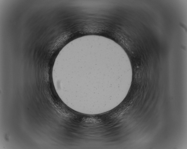 X0000097660635200803280952