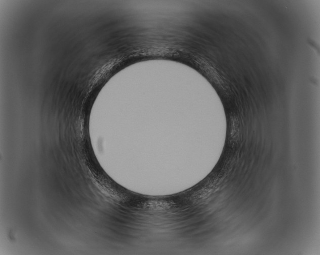 X0000097660636200803280952