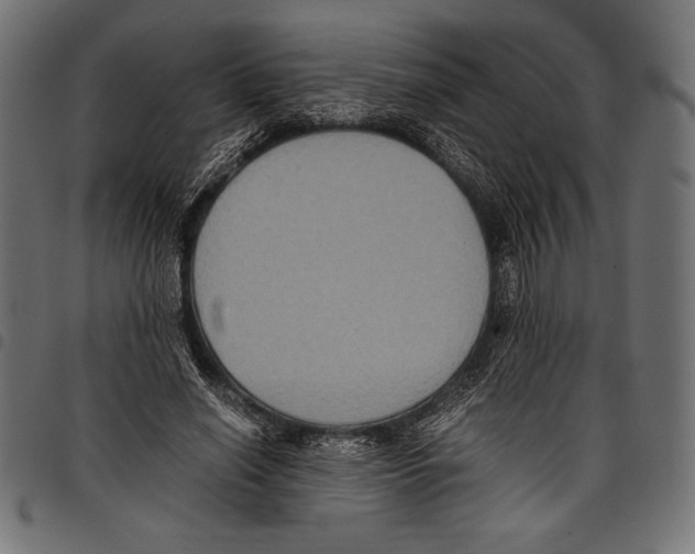X0000097660638200803280952