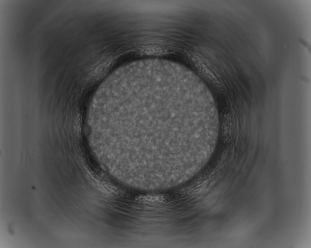 X0000097660639200803280952