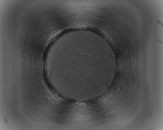 X0000097660640200803280952