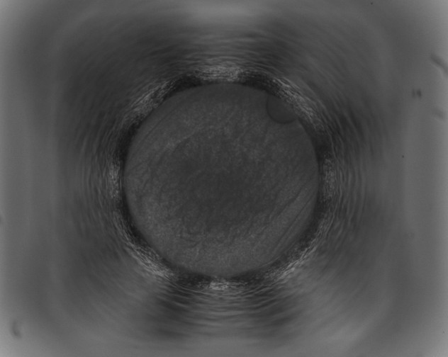 X0000097660641200803280952