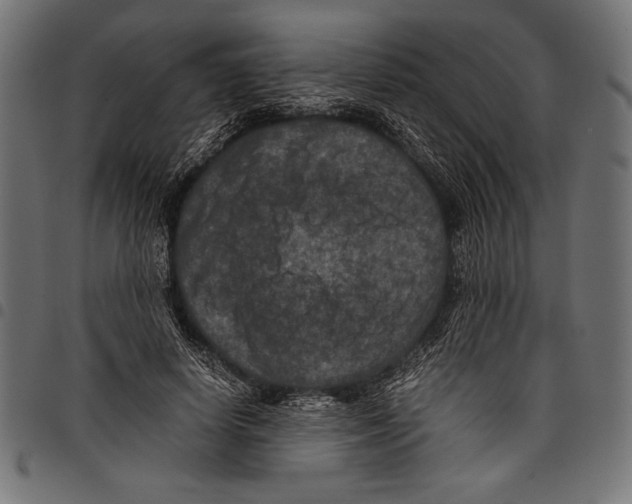 X0000097660642200803280952