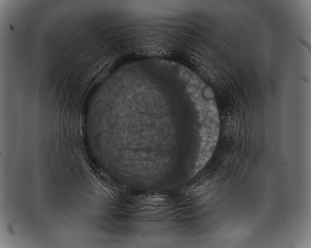 X0000097660643200803280952