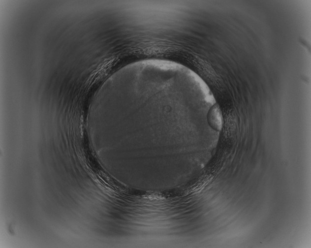 X0000097660644200803280952