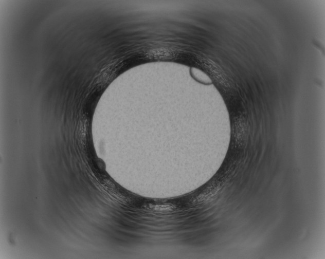 X0000097660645200803280952