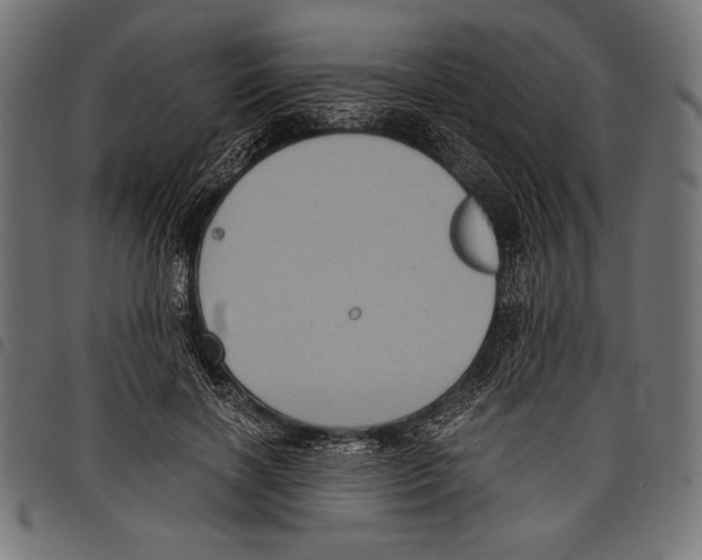 X0000097660646200803280952