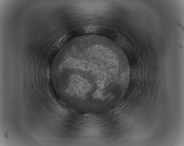 X0000097660648200803280952