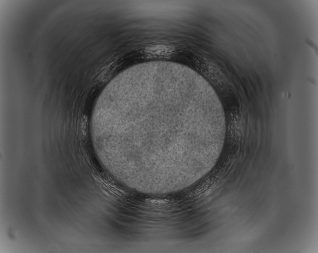 X0000097660649200803280952