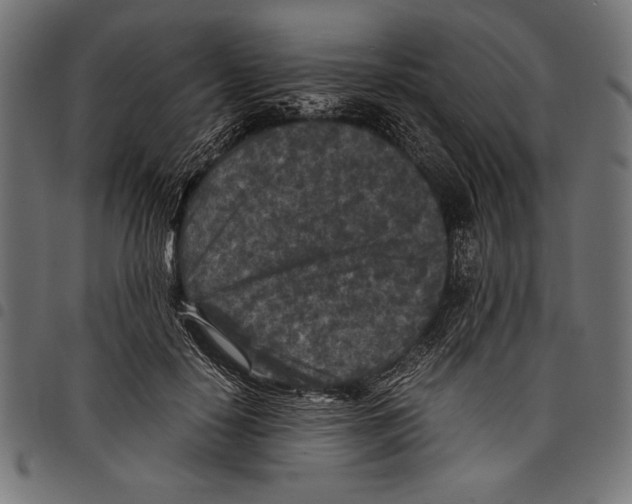 X0000097660650200803280952