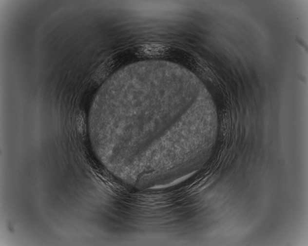 X0000097660651200803280952