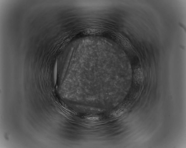 X0000097660653200803280952