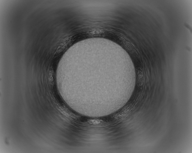 X0000097660654200803280952