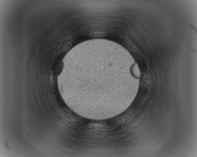 X0000097660655200803280952