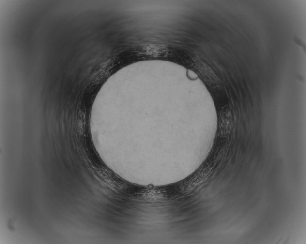 X0000097660656200803280952