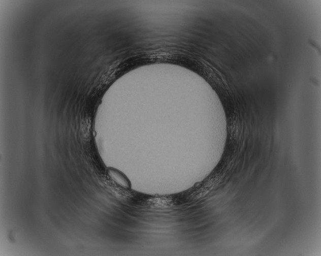 X0000097660660200803280952