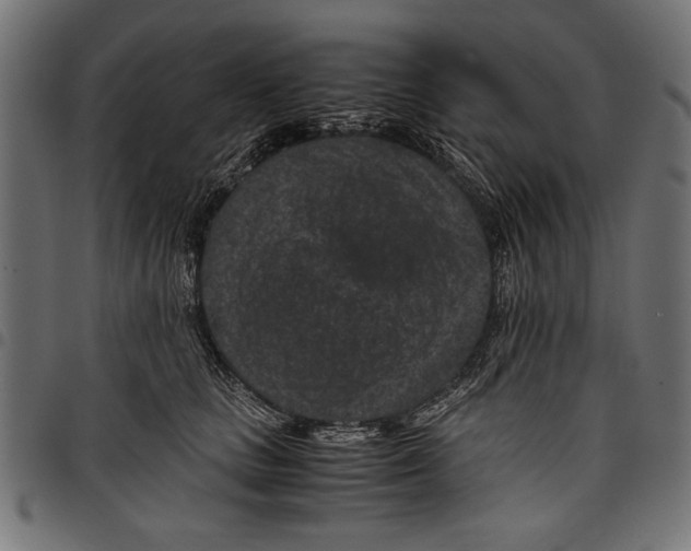 X0000097660661200803280952