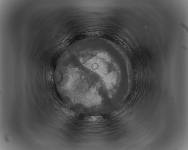 X0000097660663200803280952